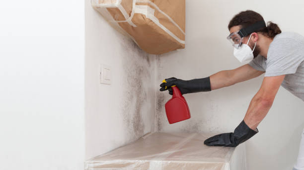 Professional Mold Removal technician working in Yorktown, TX