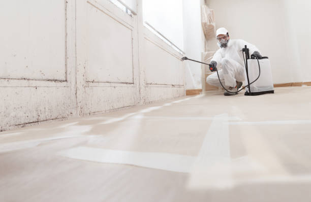 24/7 Emergency Mold Removal experts in Yorktown, TX
